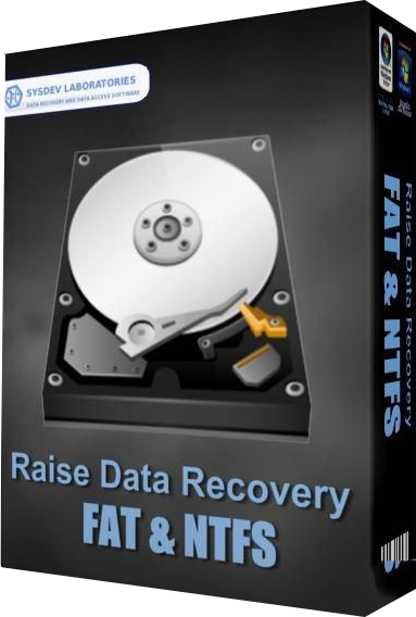 Raise Data Recovery for NTFS