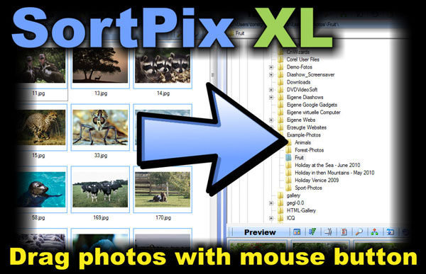 SortPix Fotosortierer XL